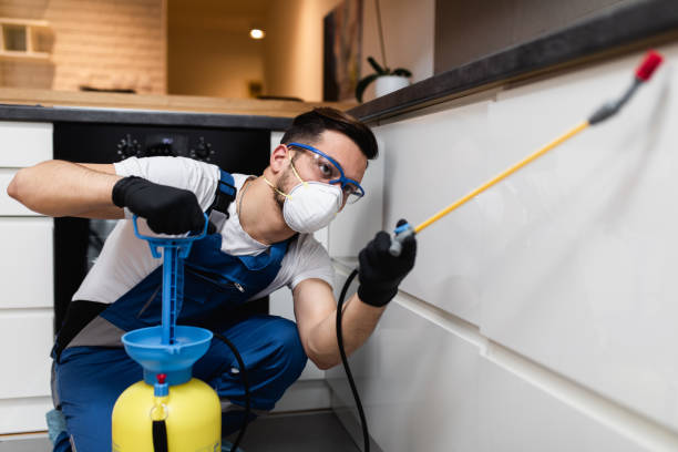 Best Best Pest Control Companies  in Holts Summit, MO