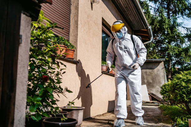 Best Termite Control Services  in Holts Summit, MO