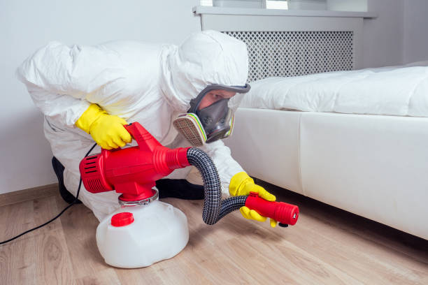 Best Mosquito Control Services  in Holts Summit, MO