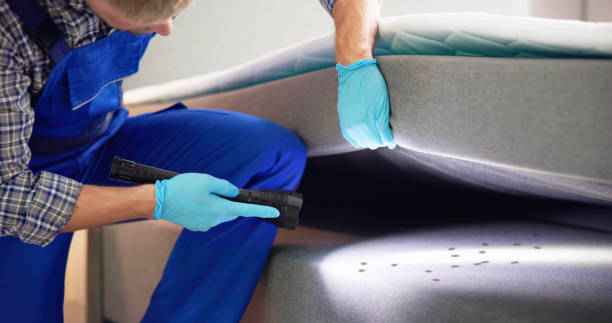 Best Ant Control Services  in Holts Summit, MO