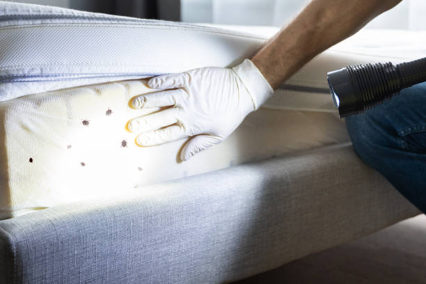 Best Pest Inspection Near Me  in Holts Summit, MO
