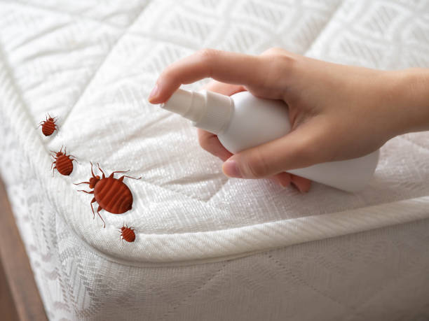 Best Pest Prevention Services  in Holts Summit, MO